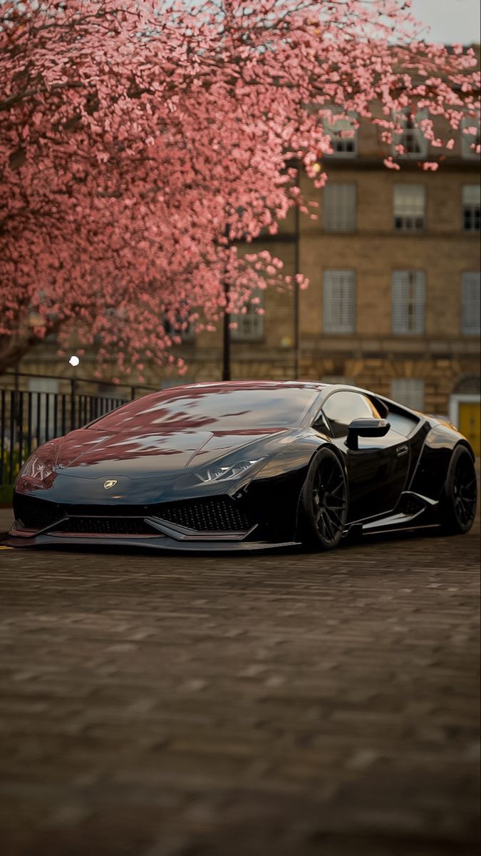 Lamborghini_cars_HD